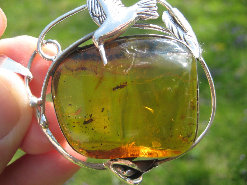 Natural Chiapas Amber Pendant Necklace Taxco Mexico Ant Insect N4838
