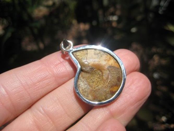 925 Silver African Ammonite fossil pendant N2466