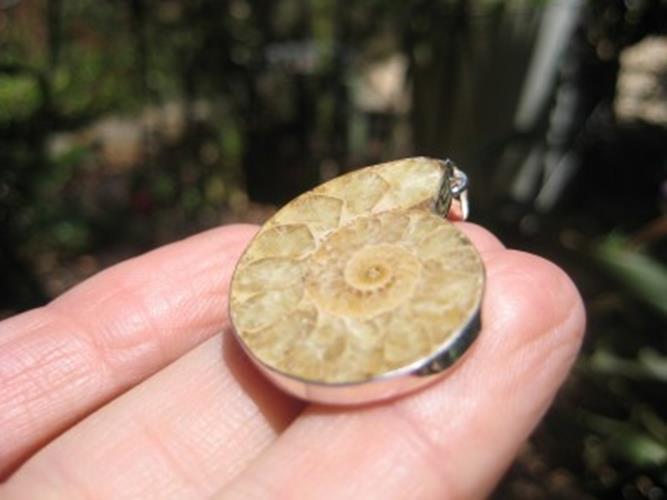 925 Silver African Ammonite fossil pendant N2466