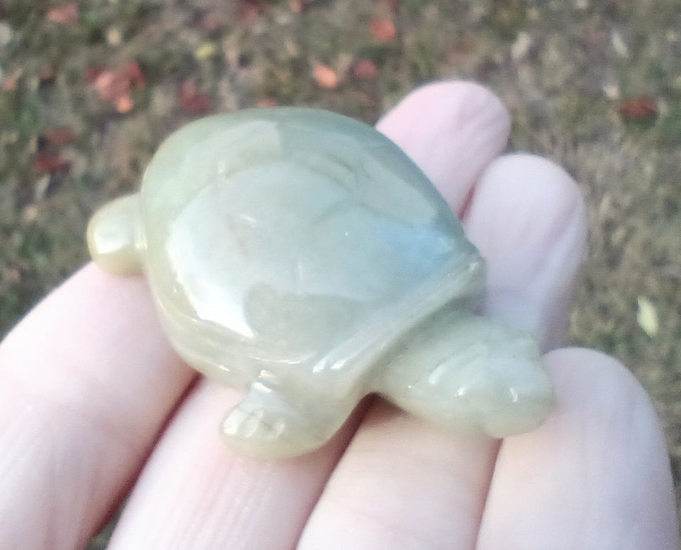 Natural Jadeite jade Turtle carving statue ch838