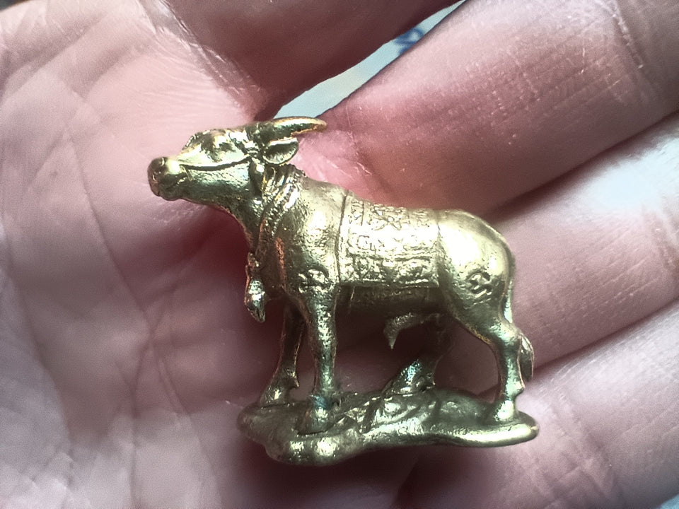 Brass metal Thailand amulet statue cow bull  1.1"