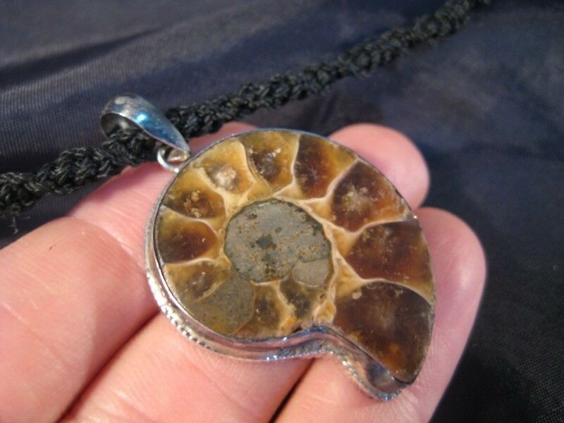 925 Silver Ammonite fossil pendant necklace N65443