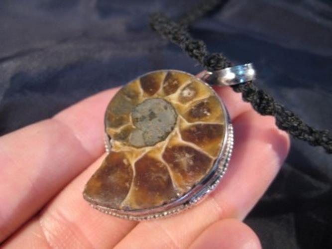 925 Silver Ammonite fossil pendant necklace N65443