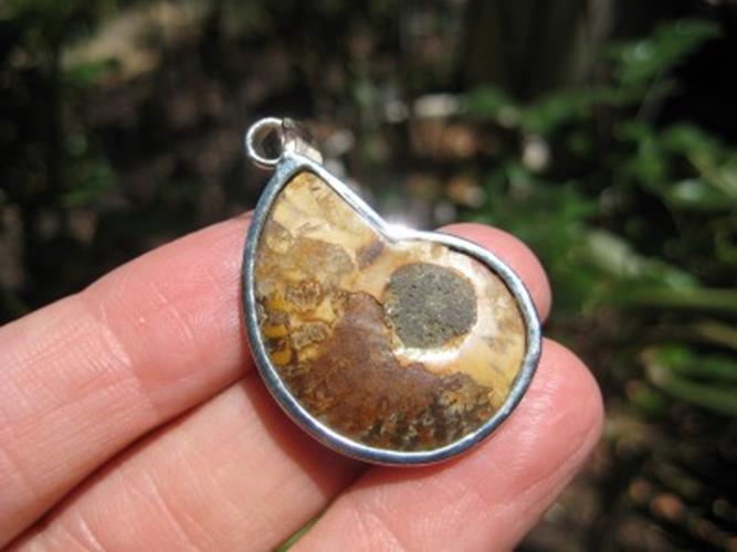African Ammonite fossil pendant necklace N3877