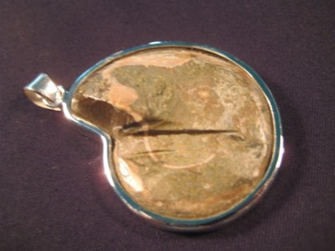 925 Silver pendant ancient sea ammonite fossil N3988