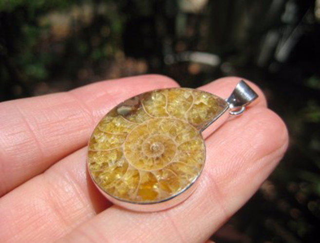 925 Silver African Ammonite fossil pendant necklace era Amber color N3844