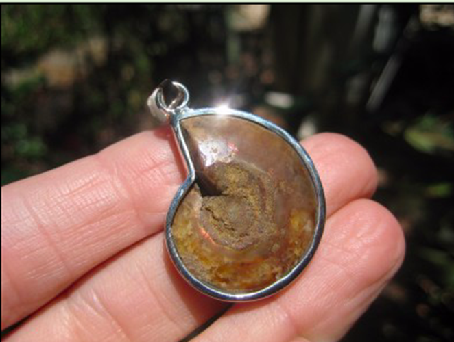 925 Silver African Ammonite fossil pendant necklace era Amber color N3844