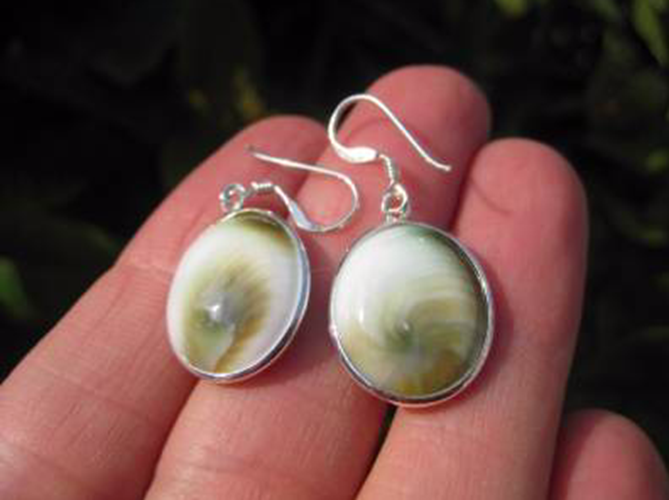 925 Silver Shiva eye shell earrings earring Thailand jewelry art AN2455