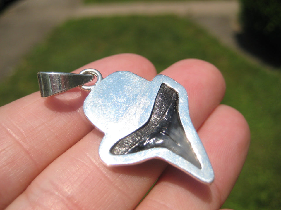 925 Silver Arizona Turqouise Shark Tooth Fossil Pendant Nepal Jewelry A4532