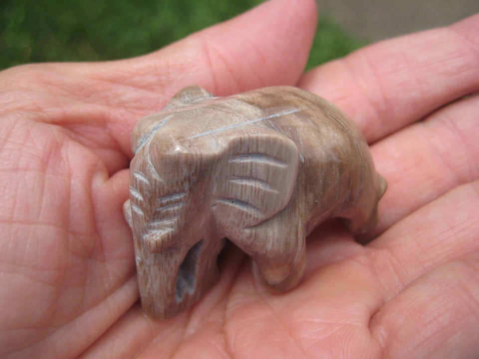Natural Petrified Wood Elephant Carving Statue Northern Thailand A3754