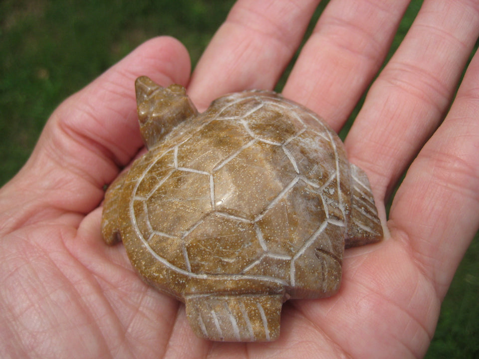 Natural Petrified Wood Turtle  Carving Statue Northern Thailand A367743