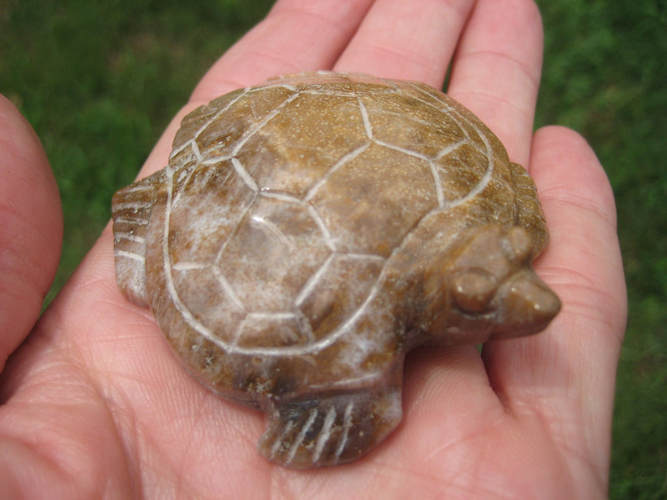 Natural Petrified Wood Turtle  Carving Statue Northern Thailand A367743