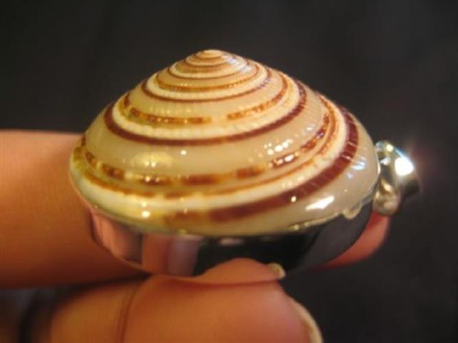 925 Silver Shell Pendant Jewelry Art Thailand N4877
