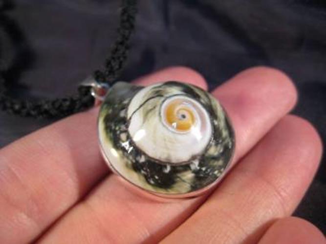 925 Silver Green Turban Shell pendant necklace Thailand N3877