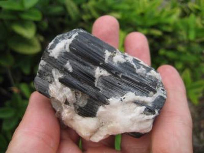 Natural black Tourmaline Quartz stone mineral crystal specimen Afghanistan N3755
