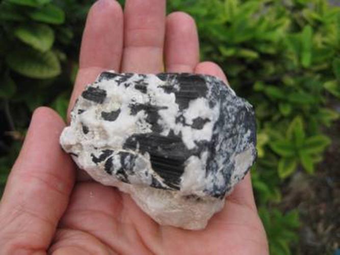 Natural black Tourmaline Quartz stone mineral crystal specimen Afghanistan N3755