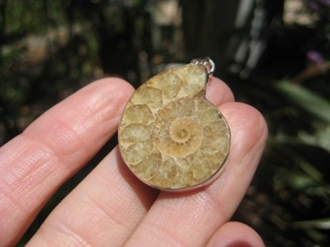 925 Silver African Ammonite fossil pendant N2466