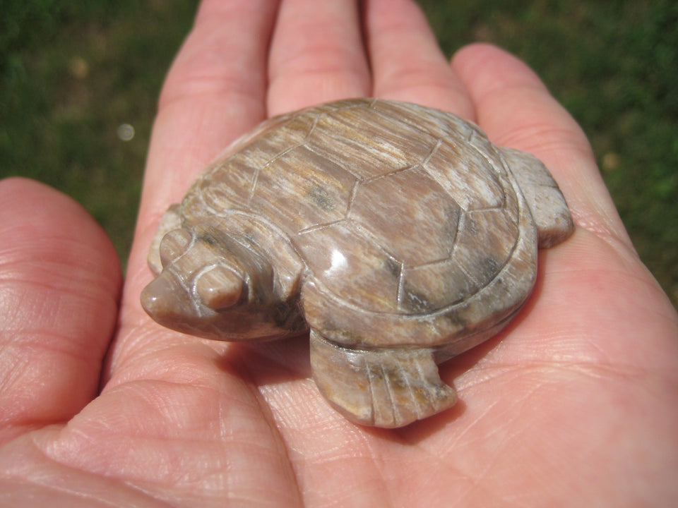 Natural Petrified Wood Turtle  Carving Statue Northern Thailand A46322