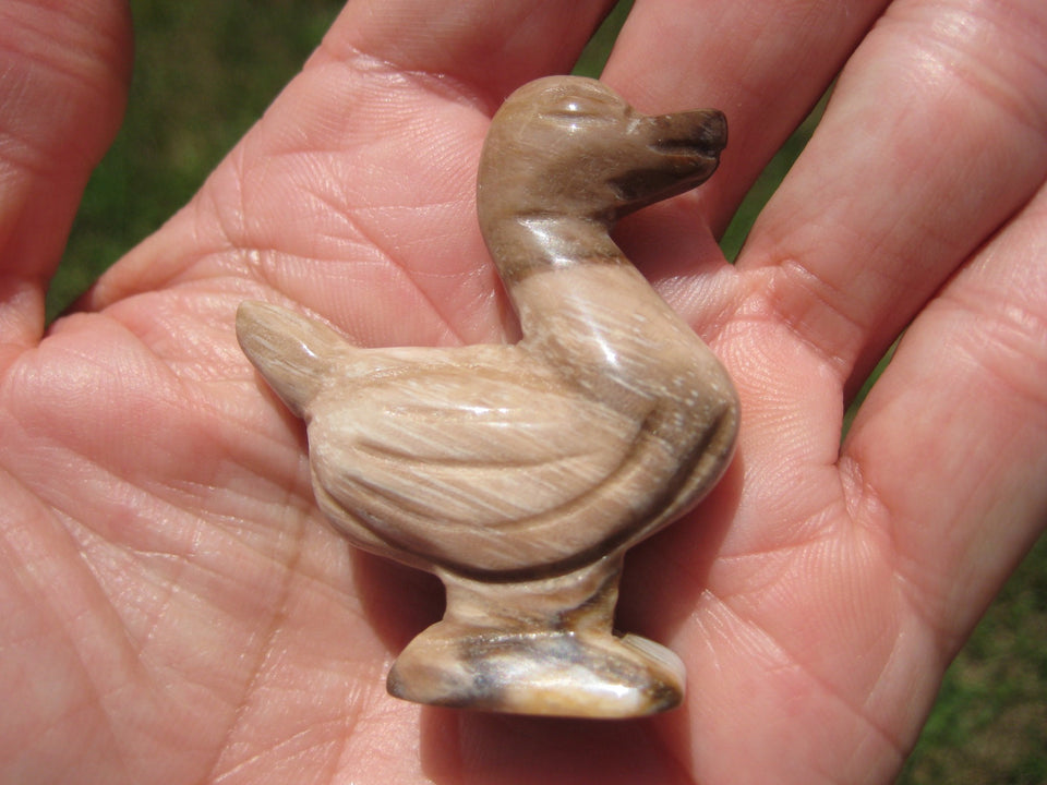 Natural Petrified Wood Duck Bird Carving Statue Northern Thailand A427455